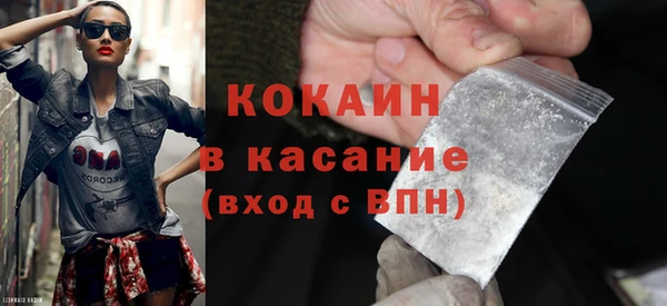 шишки Белоозёрский