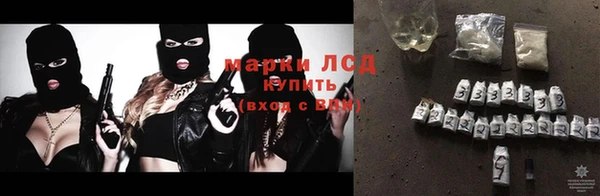 шишки Белоозёрский