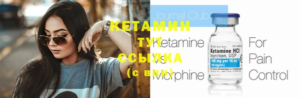 шишки Белоозёрский