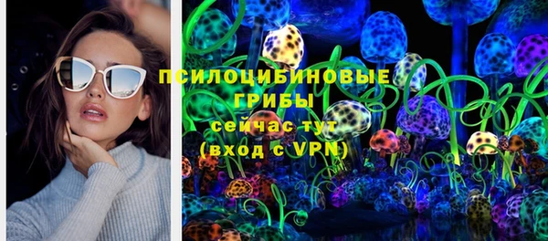 шишки Белоозёрский