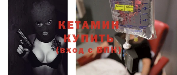 шишки Белоозёрский