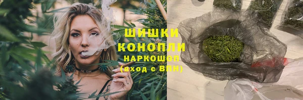 шишки Белоозёрский