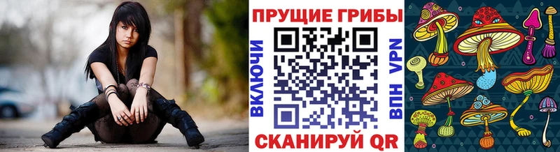 Галлюциногенные грибы ЛСД  где купить наркоту  гидра рабочий сайт  Воскресенск 